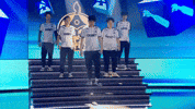 Team Esports GIF by BLAST
