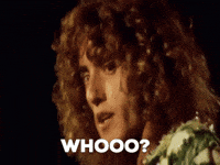 GIF by The Who