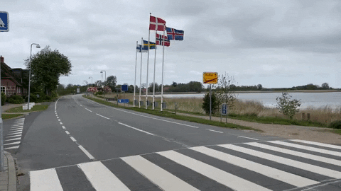 GiphyGerrit giphygifmaker rosenkranz ruttebüll grenzübergang GIF