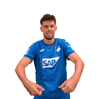 Sport Bundesliga Sticker by TSG Hoffenheim