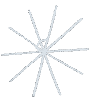 Web Spider Sticker by Сойкин след