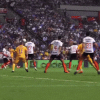 Liga Mx Tigres GIF