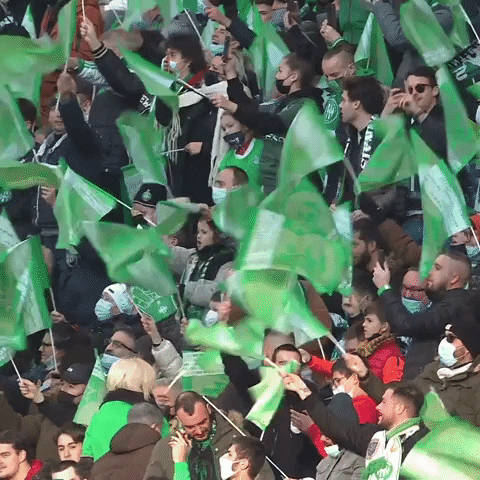 Fans Flags GIF by AS Saint-Étienne