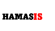 Israel Idf Sticker