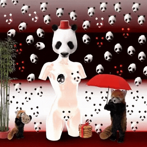 Happy Red Panda GIF by The LSD Hotel