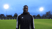 Bundesliga Stuttgart GIF by adidas