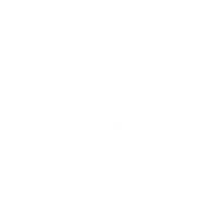 Type Reel Sticker by Mnstr