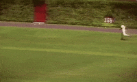roberto clemente latino GIF