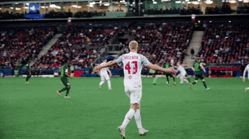 Waving Champions League GIF by FC Red Bull Salzburg