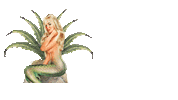 Mermaid Tequila Sticker by Encantadora - The Art of Agave