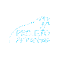 Ariranha Sticker by ProjetoAriranhas