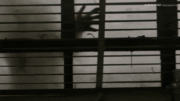 Peter Ho-Sun Chan Horror GIF by Arrow Video