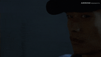 Takashi Miike Horror GIF by Arrow Video