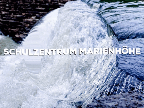 School Sun GIF by PrivatschulenPORTAL.de
