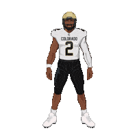 College Football Sticker by SportsManias