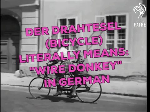 drahtesel GIF