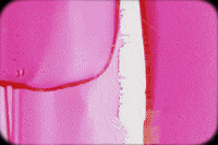 Music Video Acid GIF by Refresh Records