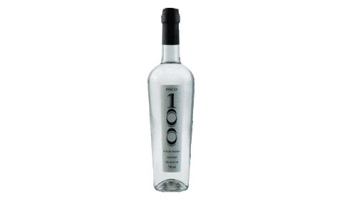 pisco100 giphyupload miami lifestyle peru Sticker