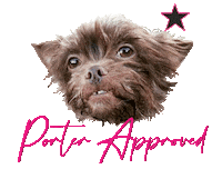 Dog Wedding Sticker by Onyx Bridal