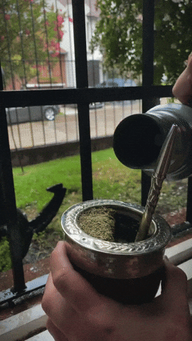 Matecito GIF by Pampa Direct