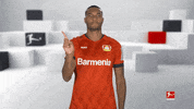 No Way Football GIF by Bundesliga