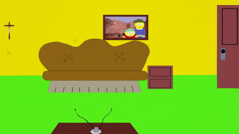 living room cat GIF by South Park 