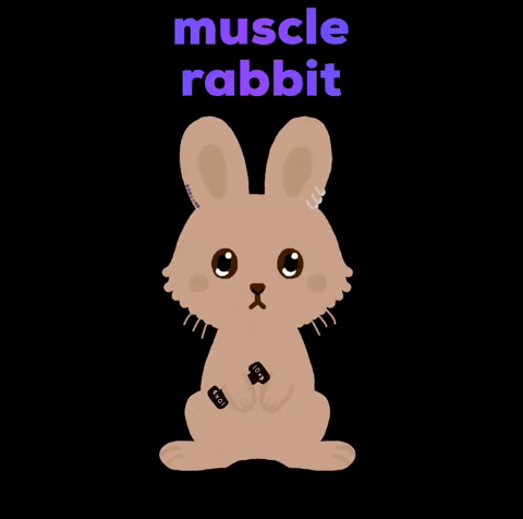 mutsuxx muscle rabbit GIF