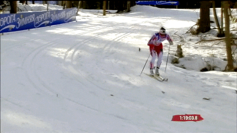 skiing crosscountry GIF
