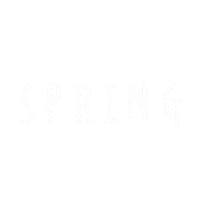 Spring 春 Sticker