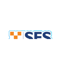 Ses Sticker by NSW State Emergency Service