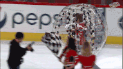 hockey fall GIF by Carolina Hurricanes