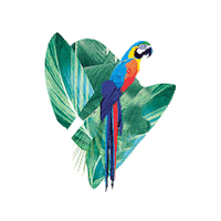 Tropicale Tentation Sticker by Yves Rocher