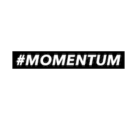 Harborlight momentum hlc harborlight Sticker