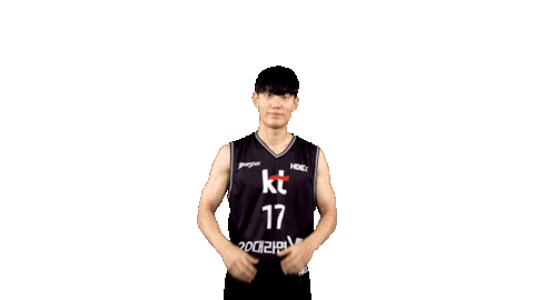 ktsonicboom_official giphyupload heart basketball kbl Sticker