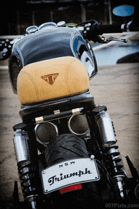 trydeal triumph motorcycle thruxton GIF