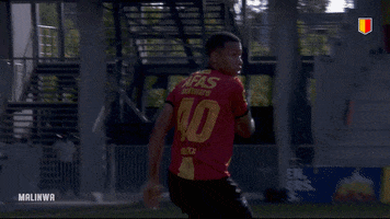 yrkvmechelen scream miss aster kvm GIF