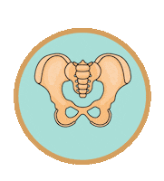 Pelvic Floor Sticker by Nancy Anderson Fit