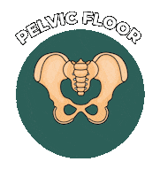 Pelvic Floor Sticker by Nancy Anderson Fit