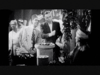 snitching GIF