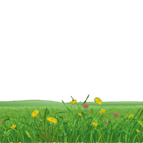 Agropecuária Sticker by Conexão Agricola