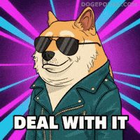 Shiba Inu Deal With It GIF by Doge Pound