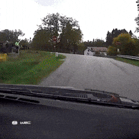 Racing Driving GIF by FIA World Rally Championship
