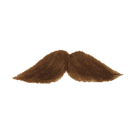 justingammon sticker face mustache accesories Sticker