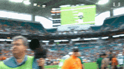 Hurricanes Football Swag GIF by Miami Hurricanes