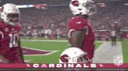 Arizona Cardinals Football GIF by NFL