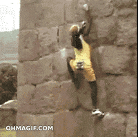 climbing GIF