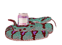 Whitney Cummings Drink Sticker by JuneShine