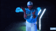 North Carolina Baseball GIF by UNC Tar Heels