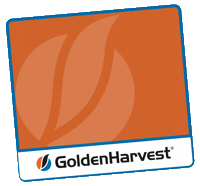 Faca Na Bota Sticker by Golden Harvest