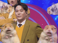 Yongjun GIF